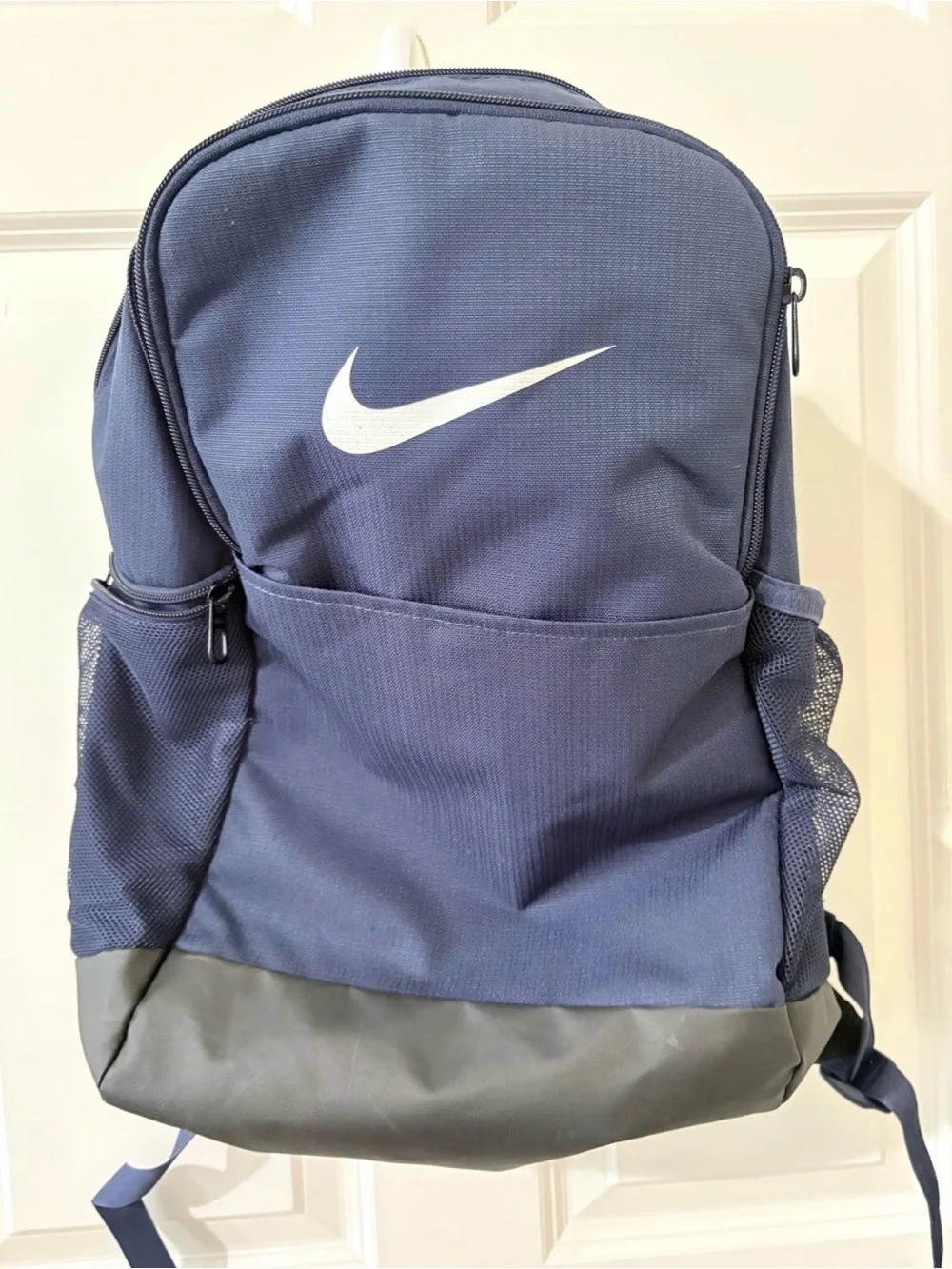 Nike Navy and White Everyday Backpack